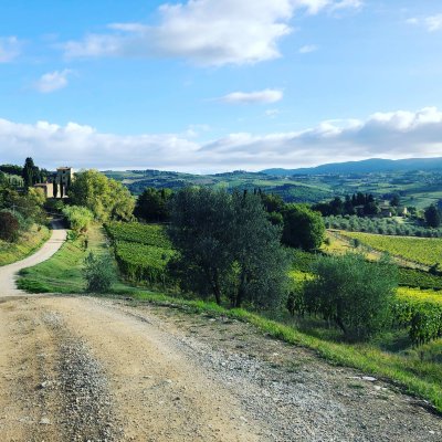 Trekking nel Chianti Classico tra vigneti e oliveti con degustazione di vini