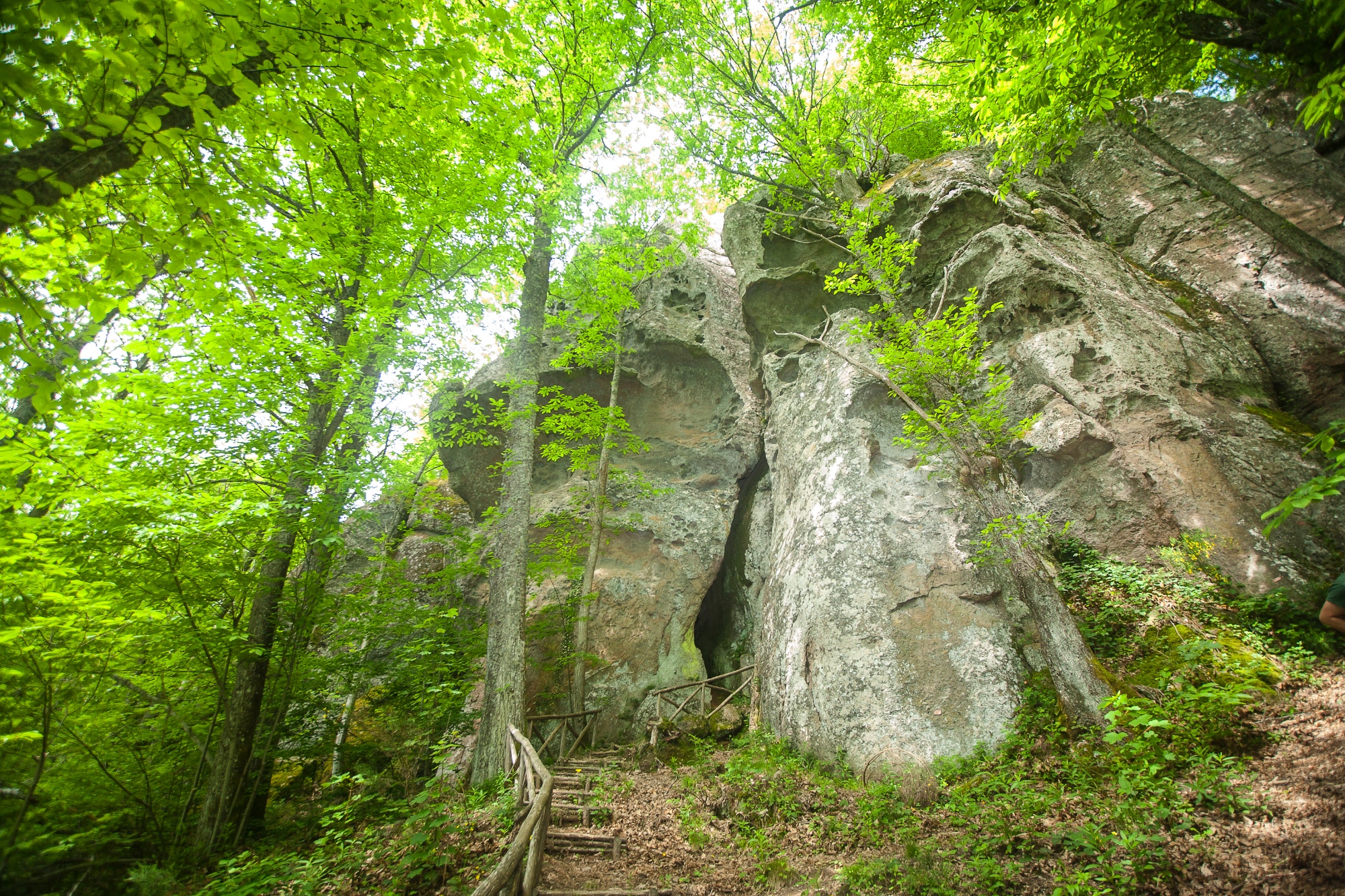 Wald und Felsen am Monte Amiata