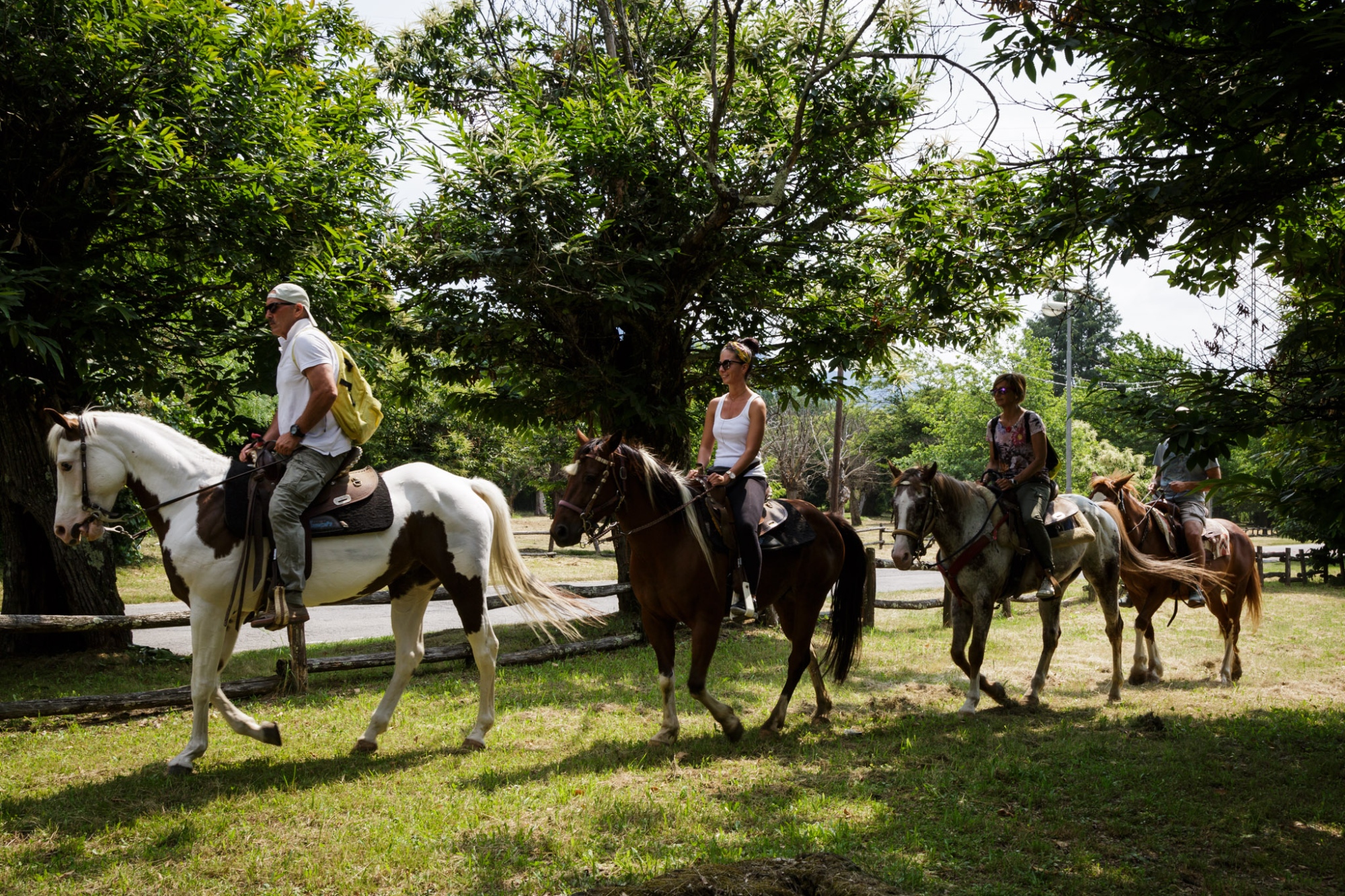 Horses in Lunigiana