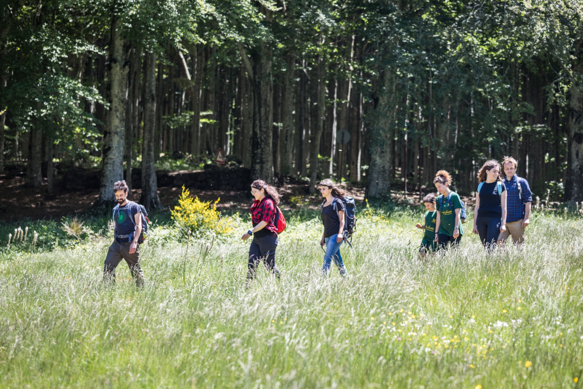 Trekking in the beech forest of Monte Amiata