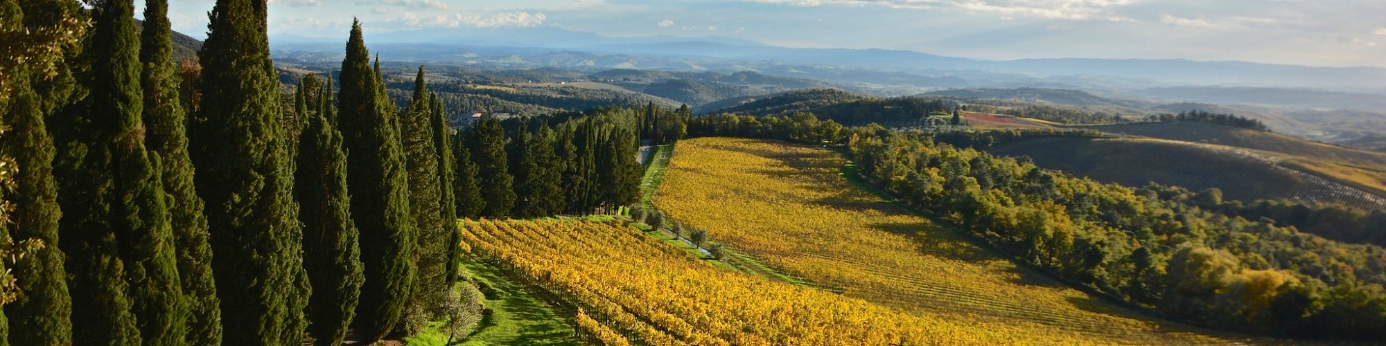 Tuscan countryside, Chianti