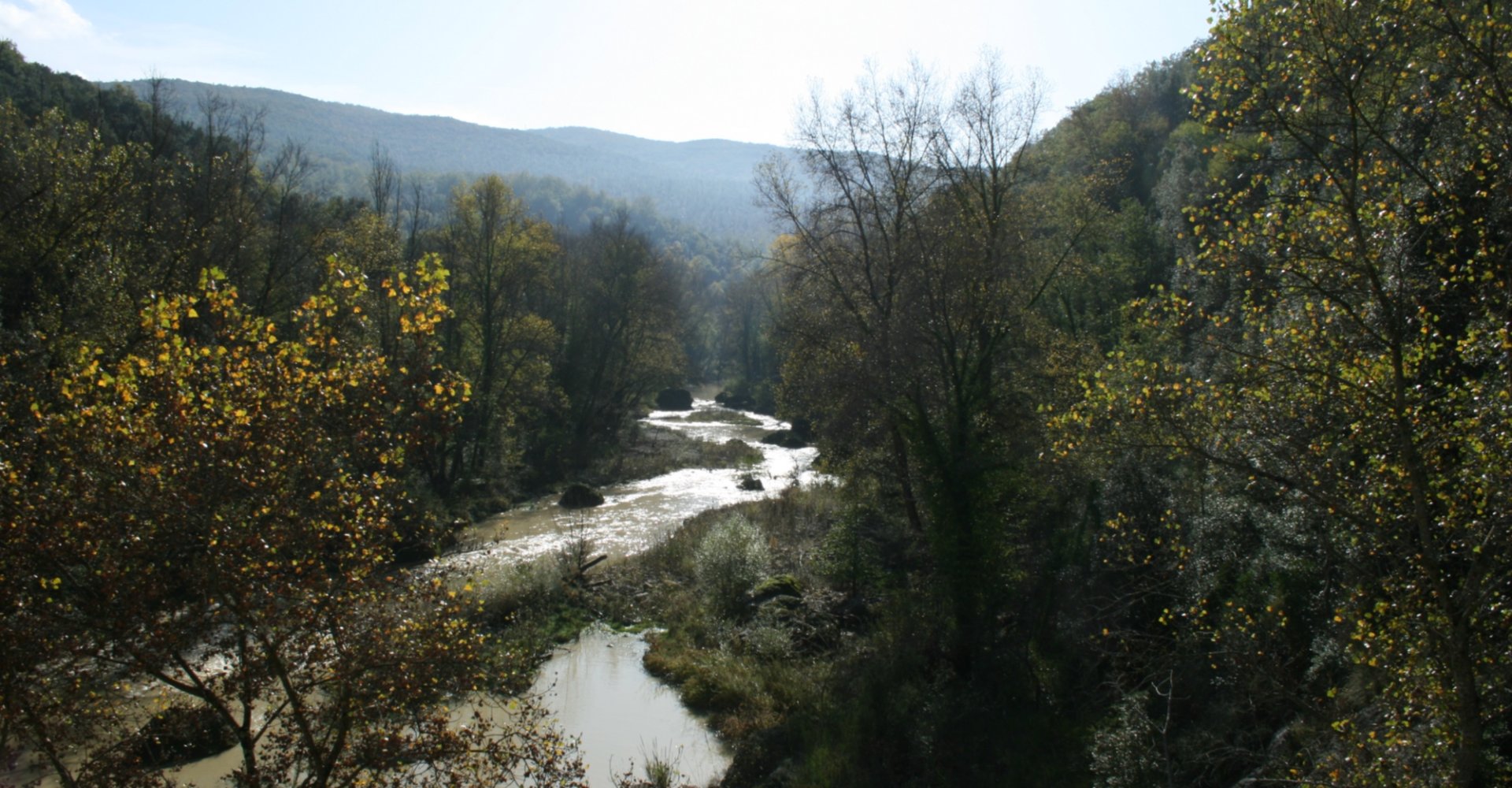 The Bogatto Regional Natural Reserve