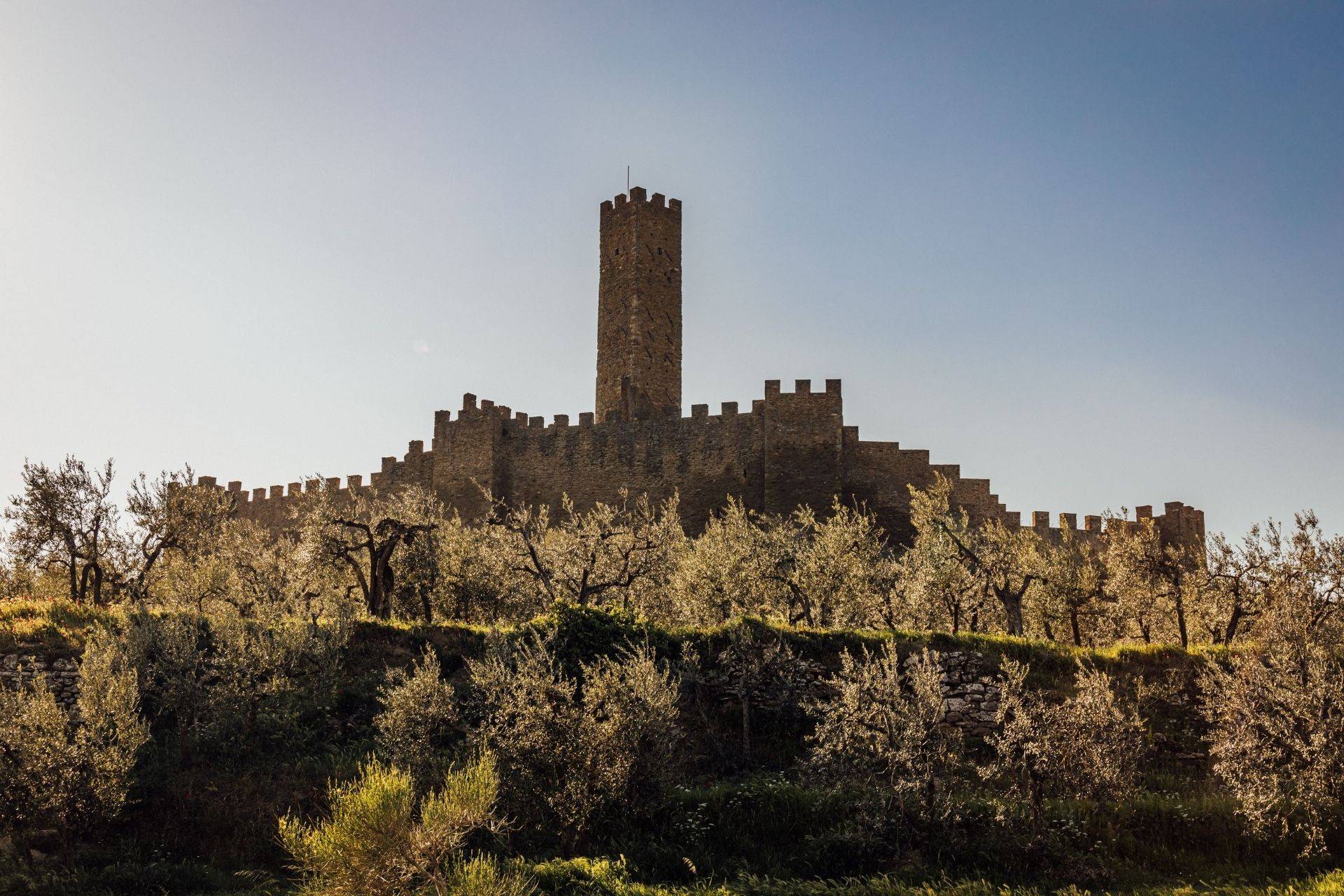 Castello Di Montecchio Vesponi