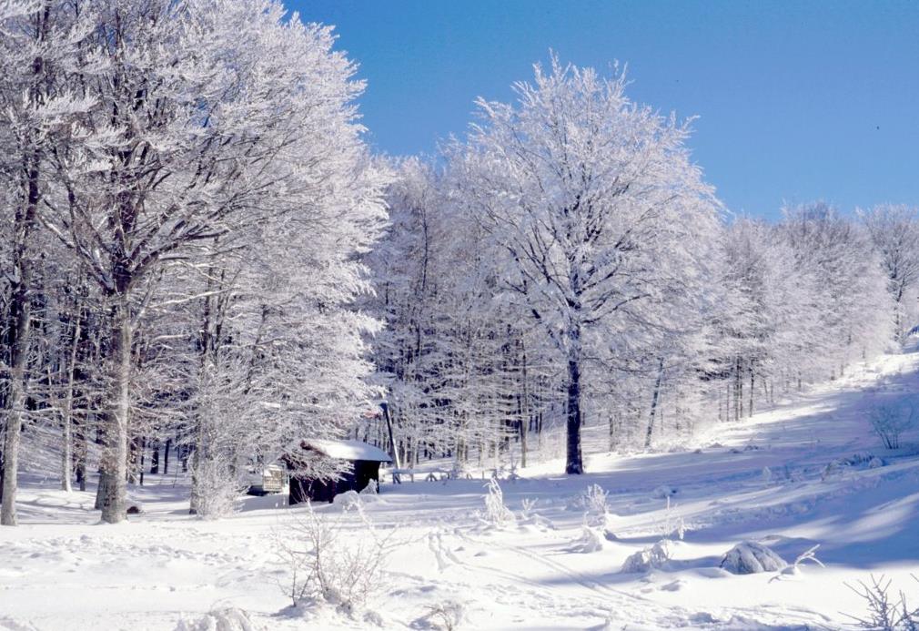 Der Monte Amiata im Winter