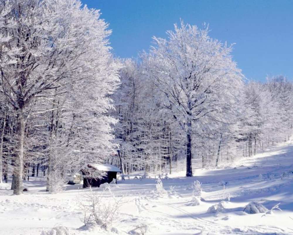 Mount Amiata in winter