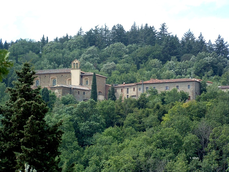 The protected natural area of local interest Bosco di Sargiano