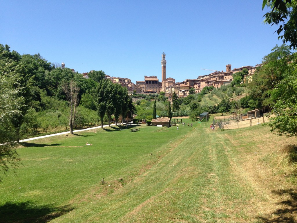 Orto de' Pecci in Siena