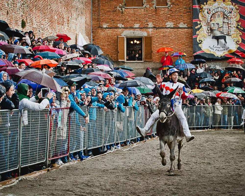 Donkeys Race in Torrita di Siena