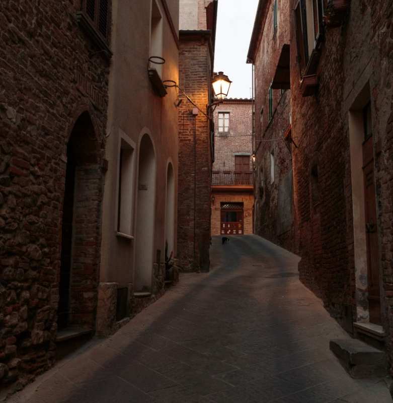 A street of Torrita di Siena