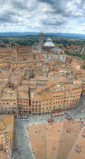 The view from the Torre del Mangia in Siena