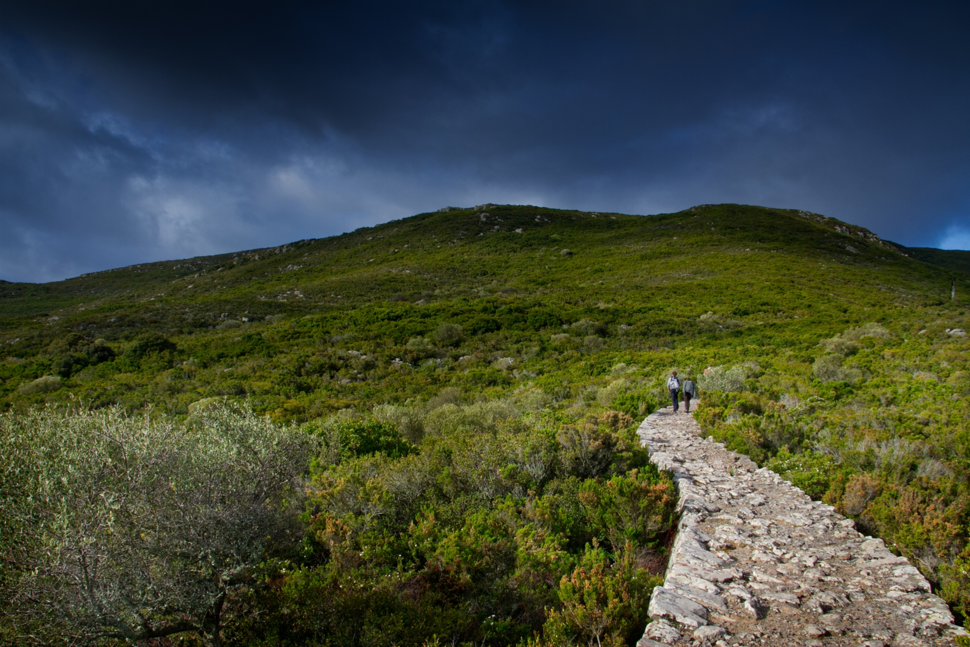 Molti sentieri sull'isola si svolgono su terrapieni di età napoleonica