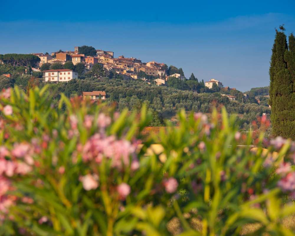The hill of Castagneto Carducci