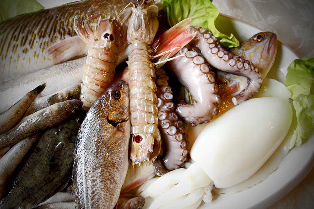 Fish and seafood for the Cacciucco soup