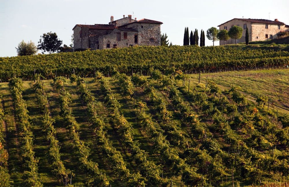 Le strade del vino della Toscana