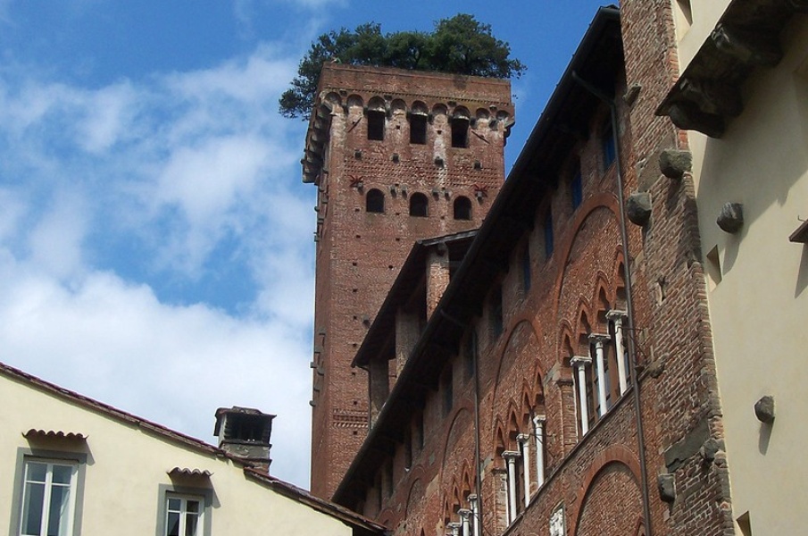 The Guinigi Tower