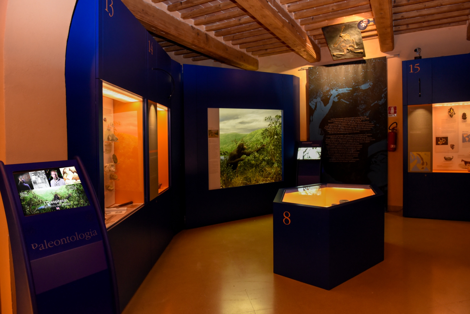 Natural History Museum of the Maremma
