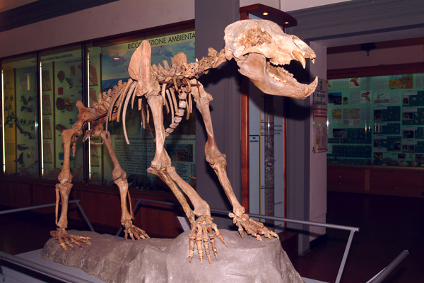 Civic Museum of Paleontology