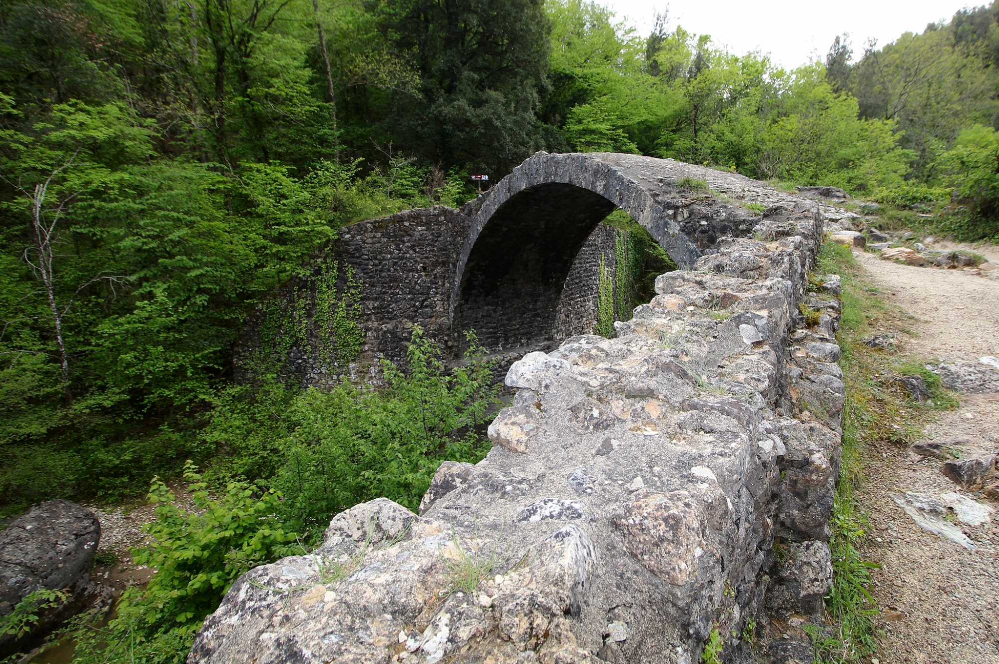 The Ponte della Pia