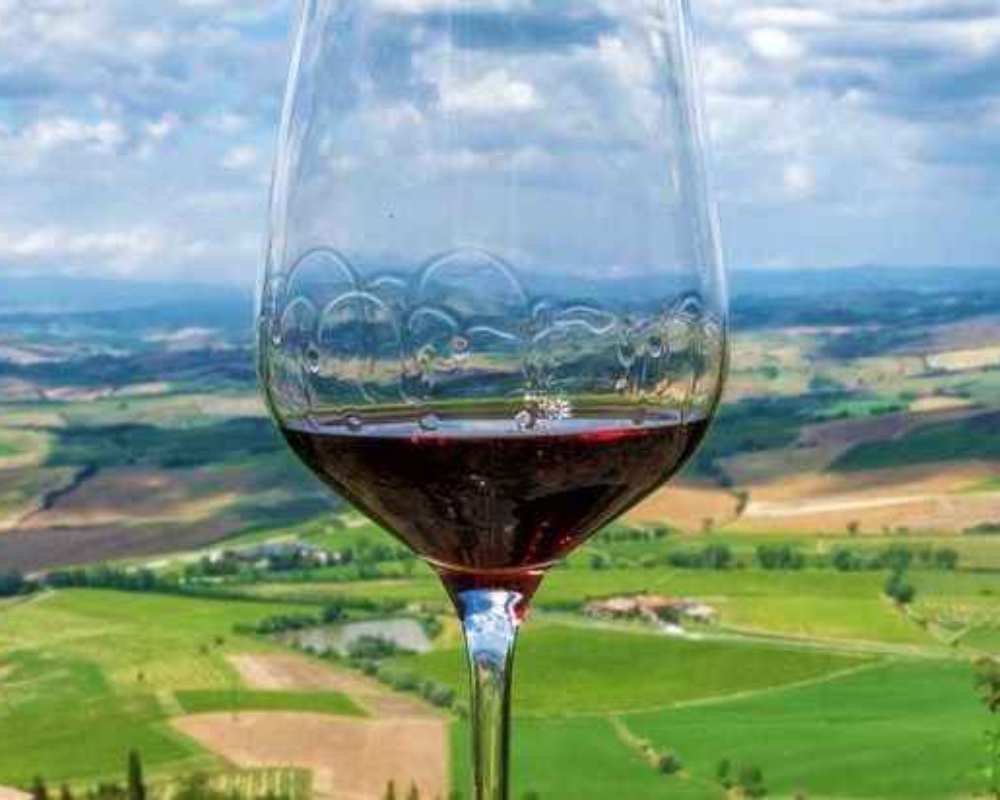Brunello di Montalcino Wine