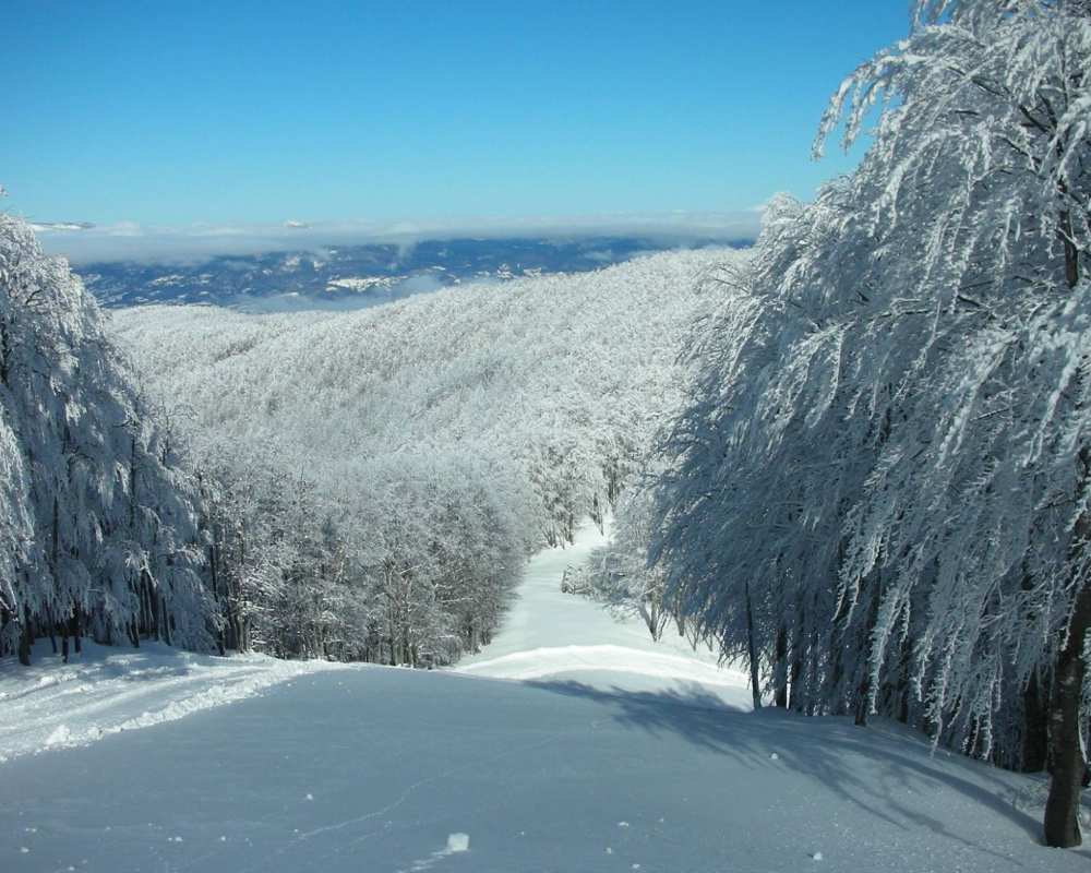 Zum Zeri - snow slopes