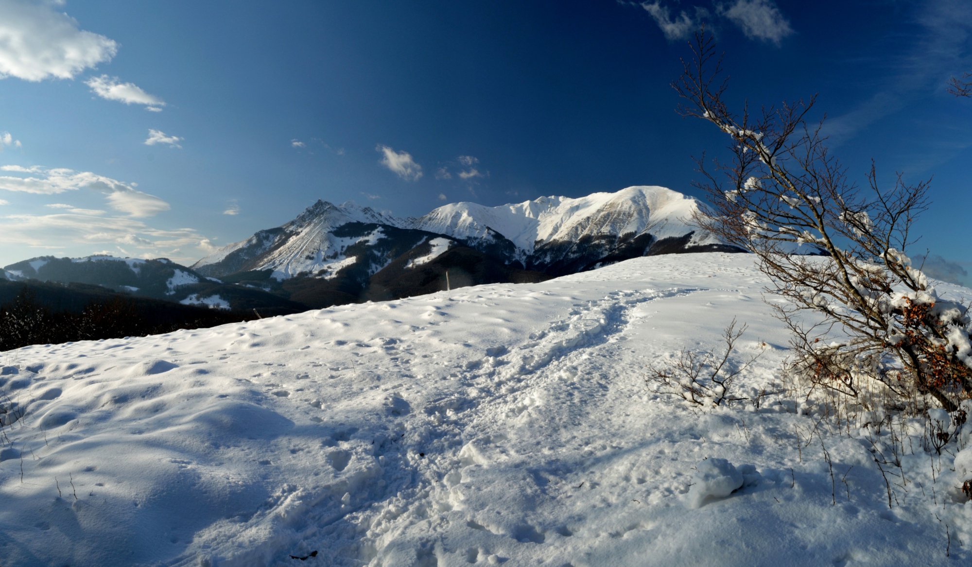 Panorama verso l'Alpe di Succiso e il Passo dell'Ospedalaccio
