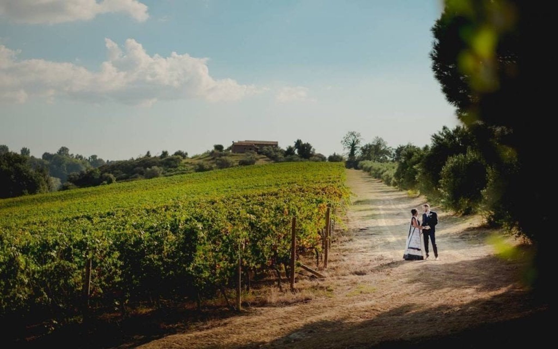 Getting married in the vineyard