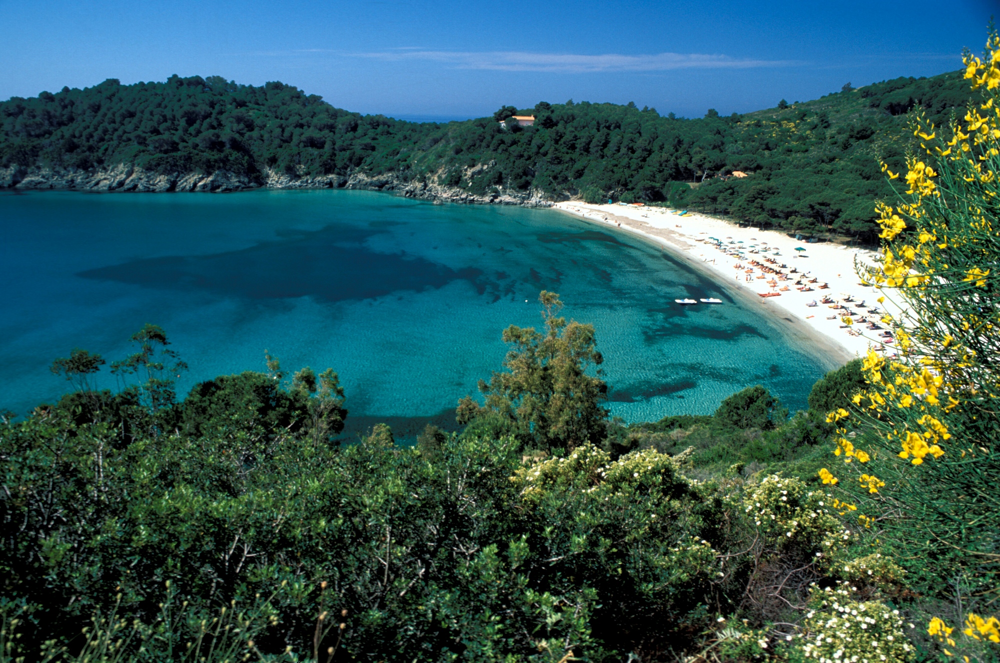 La spiaggia di Fetovaia all'Isola d'Elba