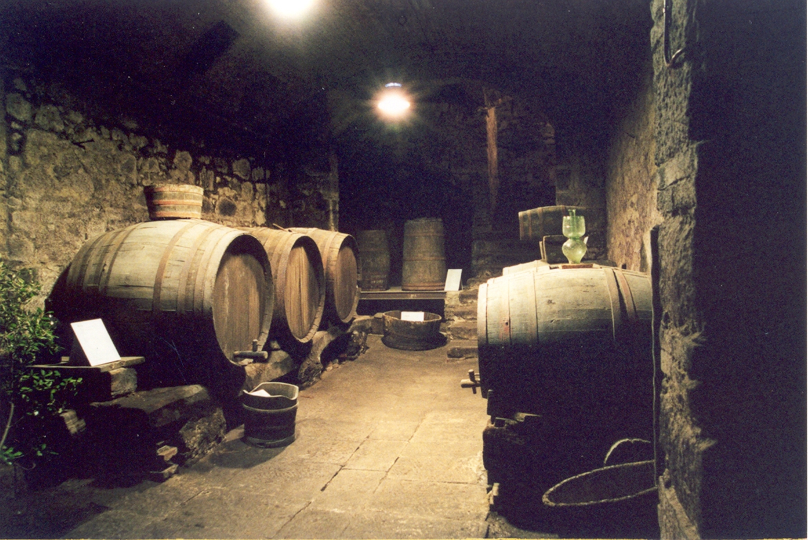 Museo del Vino di Roccastrada