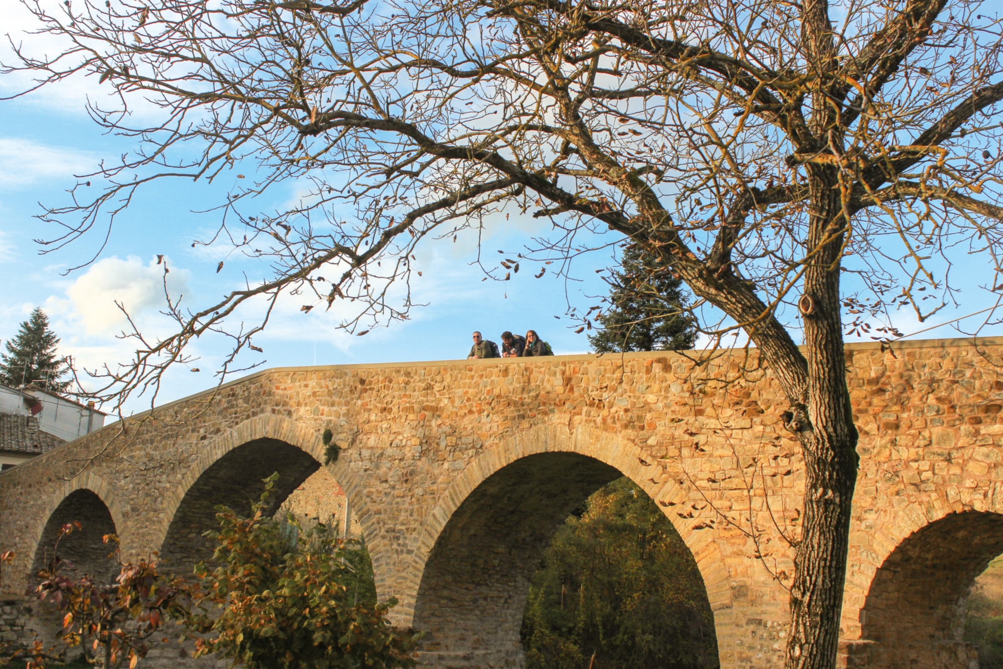 Romanesque Pogi Bridge