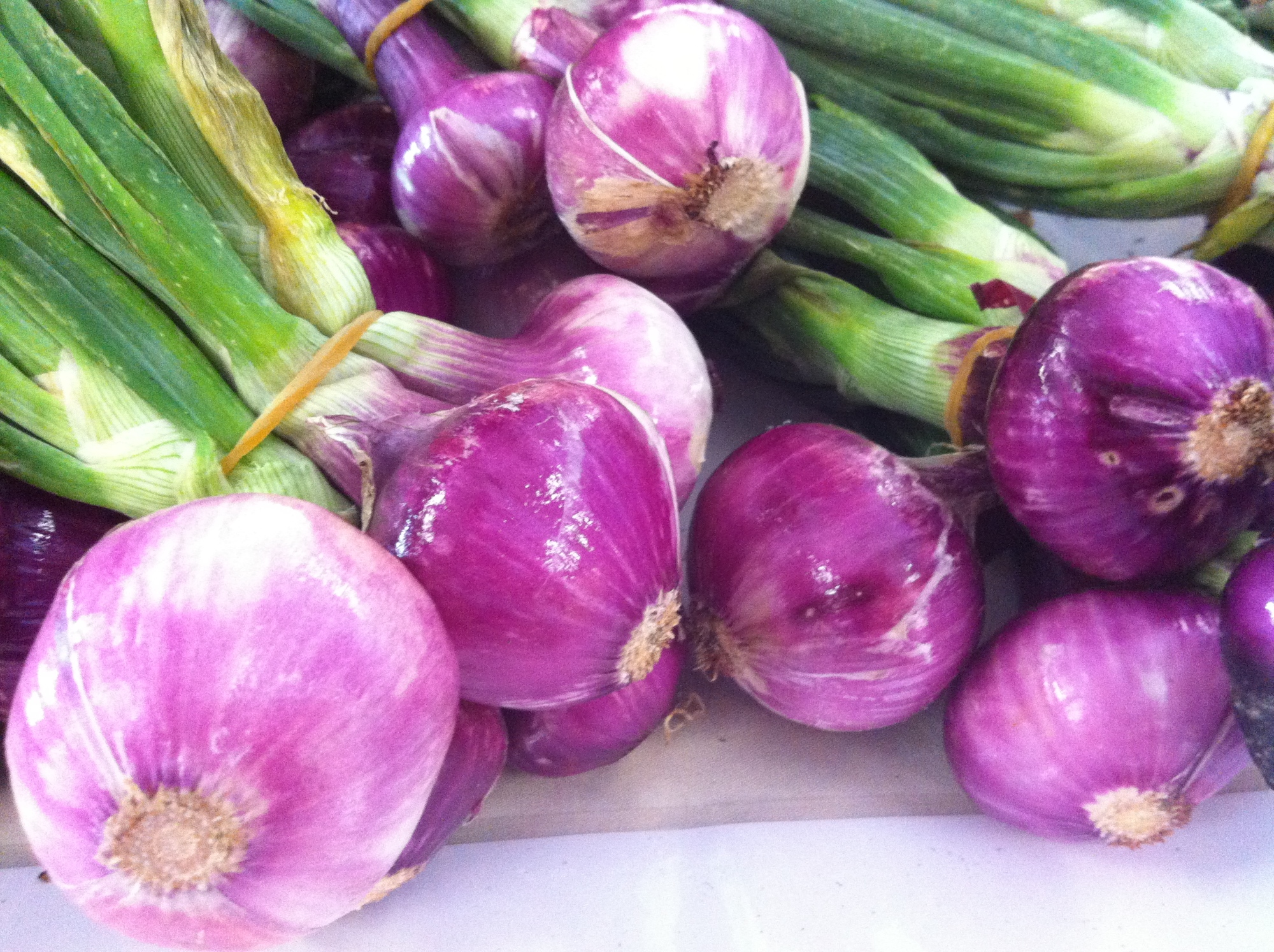 The sweet onion of Certaldo
