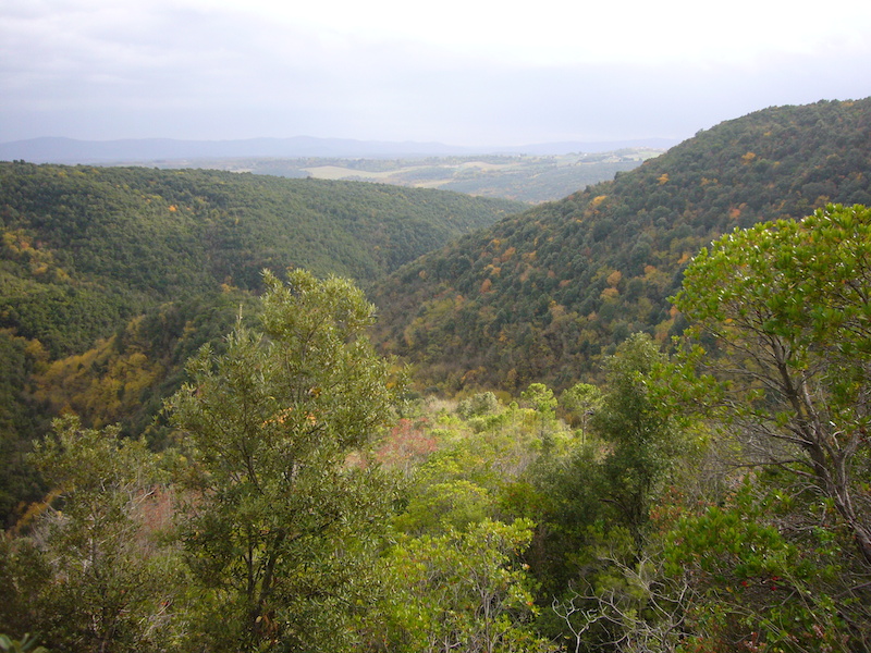 Reserva Natural de Castelvecchio