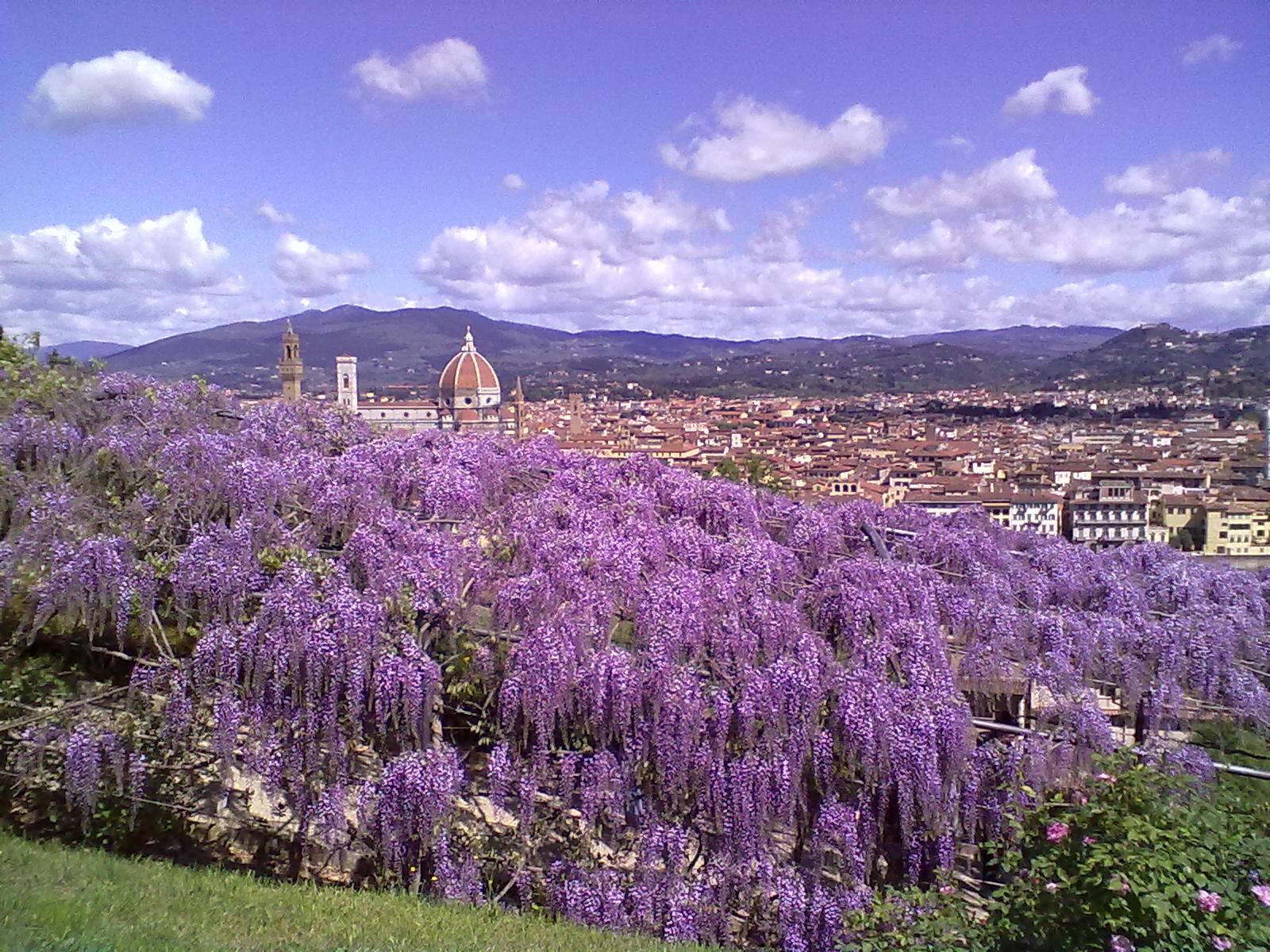 Bardini Garden in Florence