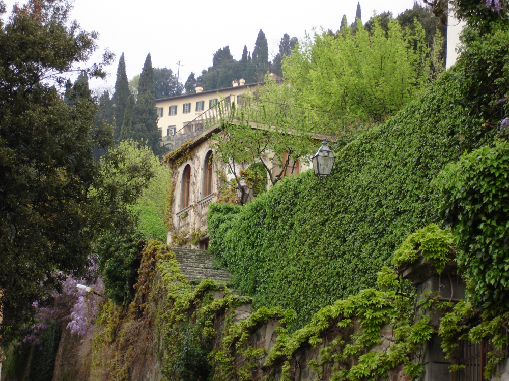 The Fiesole hills