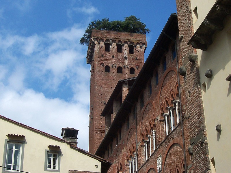 La Torre Guinigi vista desde abajo
