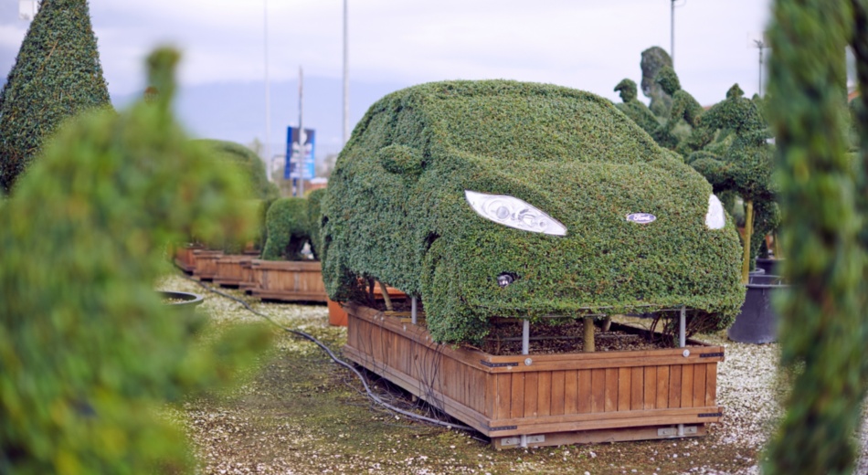 Green automobile in Pistoia